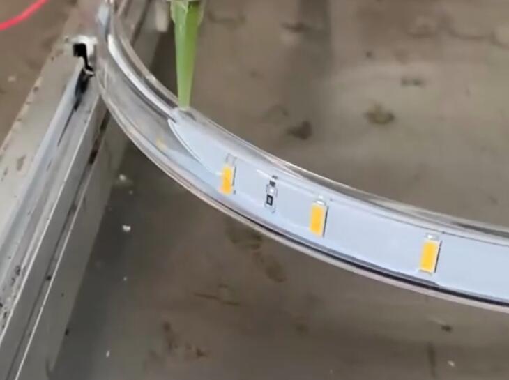 圓臺燈灌膠視頻